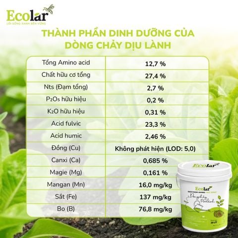  Phân Bón Ecolar Dòng Chảy Dịu Lành 20L 