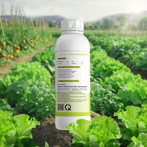  Phân Bón Ecolar Dòng Chảy Dịu Lành 1L 