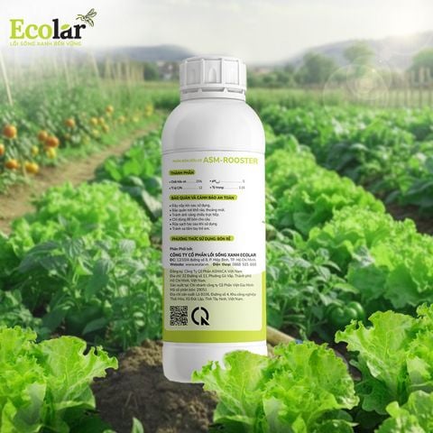  Phân Bón Ecolar Dòng Chảy Dịu Lành 1L 