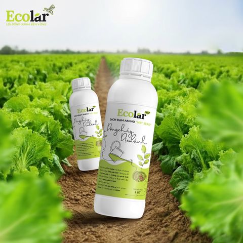  Phân Bón Ecolar Dòng Chảy Dịu Lành 1L 