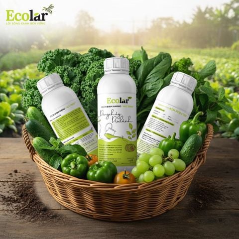  Phân Bón Ecolar Dòng Chảy Dịu Lành 1L 