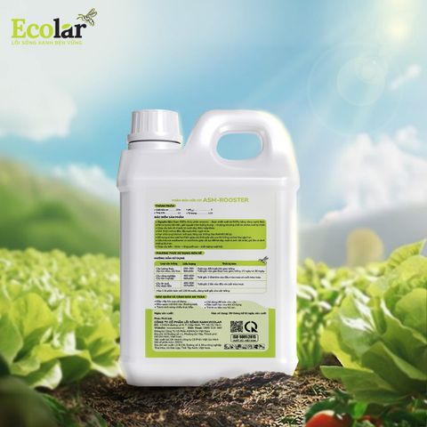  Phân Bón Ecolar Dòng Chảy Dịu Lành 5L 