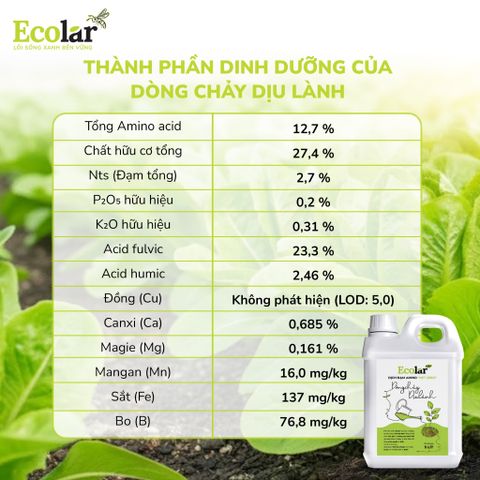  Phân Bón Ecolar Dòng Chảy Dịu Lành 5L 