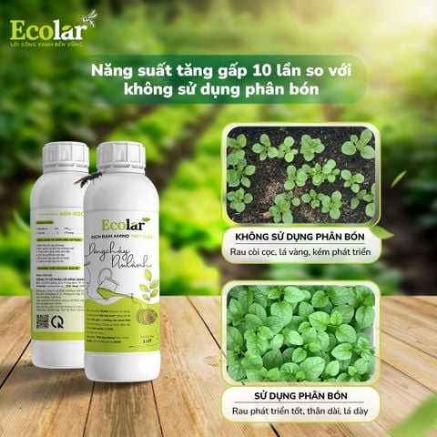  Phân Bón Ecolar Dòng Chảy Dịu Lành 1L 