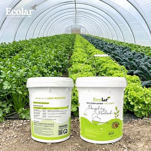  Phân Bón Ecolar Dòng Chảy Dịu Lành 20L 