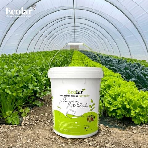  Phân Bón Ecolar Dòng Chảy Dịu Lành 20L 