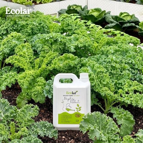  Phân Bón Ecolar Dòng Chảy Dịu Lành 5L 