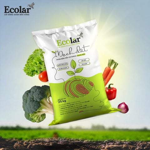  Phân Bón Ecolar Mạch Đất 25Kg 