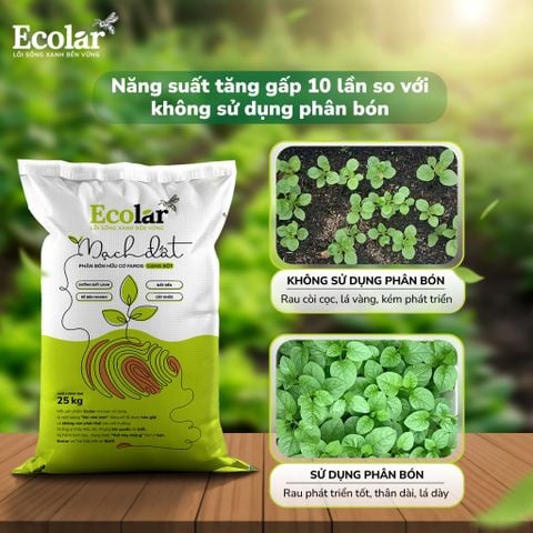  Phân Bón Ecolar Mạch Đất 25Kg 