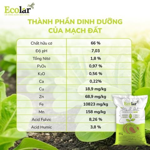  Phân Bón Ecolar Mạch Đất 25Kg 