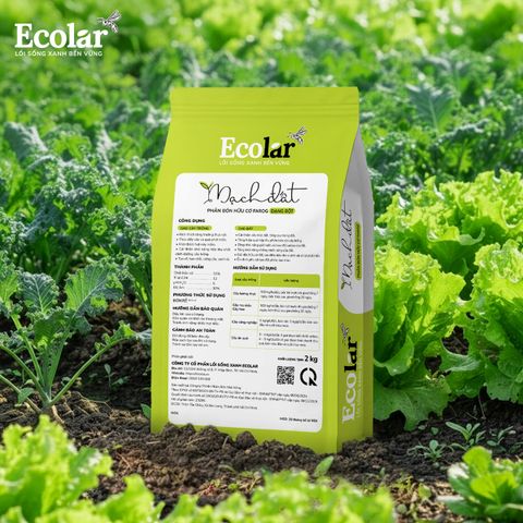  Phân Bón Hữu Cơ Mạch Đất 2kg – Cải Tạo Đất Chai Cứng Chỉ Sau 1 Vụ 