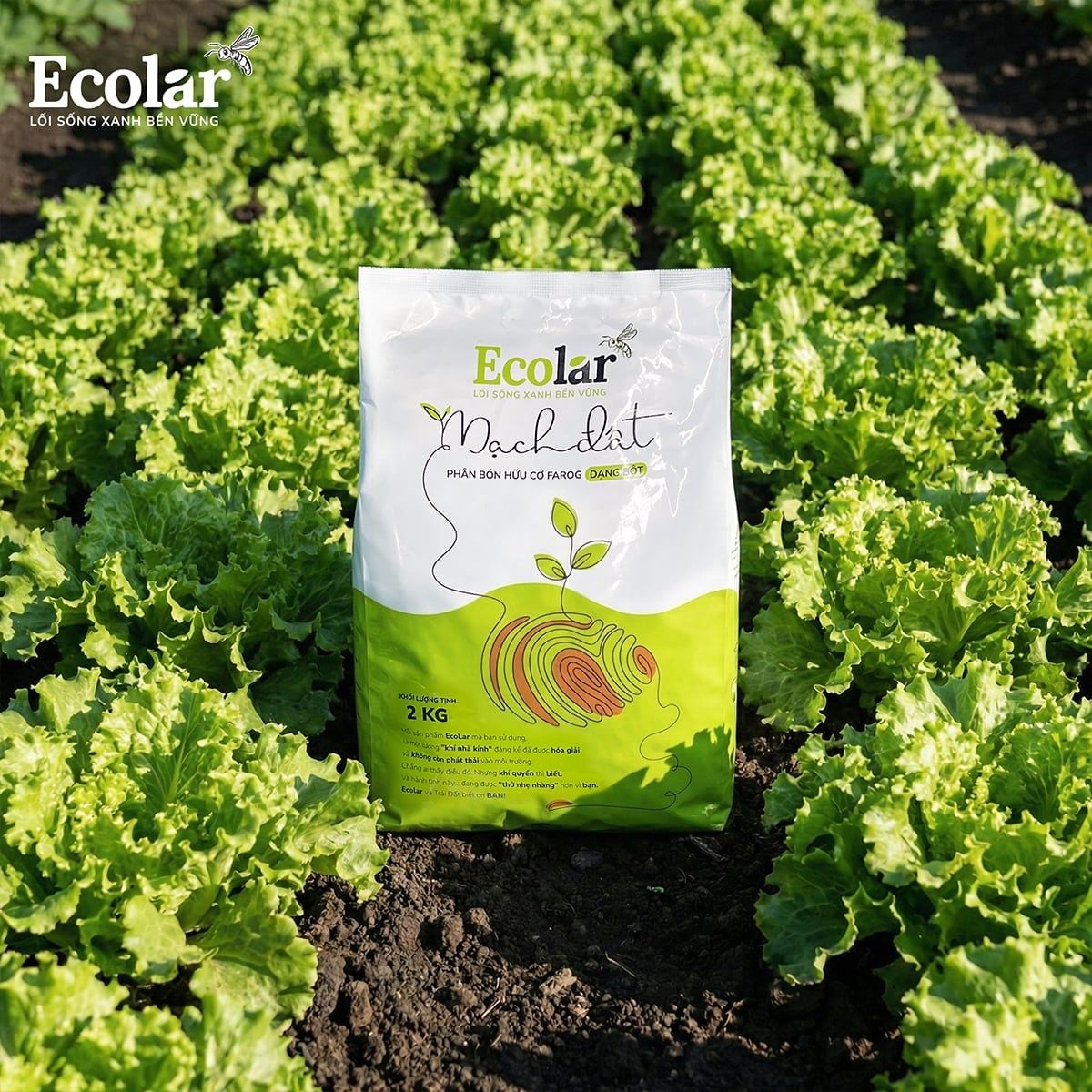 Phân Bón Hữu Cơ Mạch Đất 2kg – Cải Tạo Đất Chai Cứng Chỉ Sau 1 Vụ