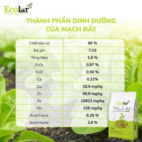  Phân Bón Hữu Cơ Mạch Đất 2kg – Cải Tạo Đất Chai Cứng Chỉ Sau 1 Vụ 