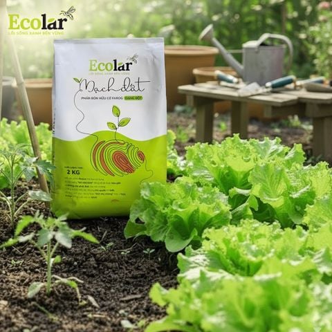  Phân Bón Hữu Cơ Mạch Đất 2kg – Cải Tạo Đất Chai Cứng Chỉ Sau 1 Vụ 