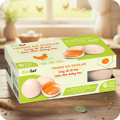 Trứng gà thảo mộc Ecolar (4 hộp x 10 quả)