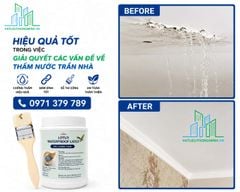 Keo chống thấm cho mọi bề mặt Waterproof Latex 800g chính hãng