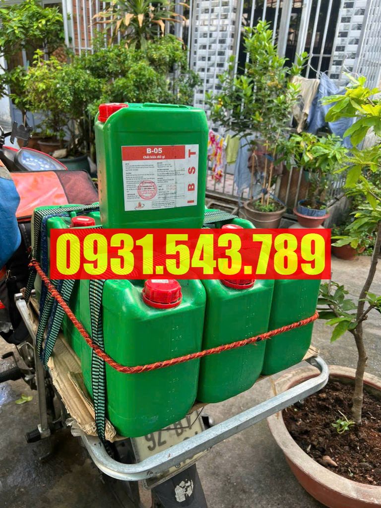 Hoá chất tẩy rỉ B05 mới 2025