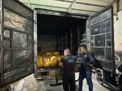 Băng cản nước O200 - Chống thấm mạch ngừng WaterStop O200