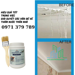 Keo chống thấm trong suốt WATER PROOF LATEX 800g, Giải Pháp Chống Thấm Cho Mọi Bề mặt Xi Măng, Gỗ,Nhựa...