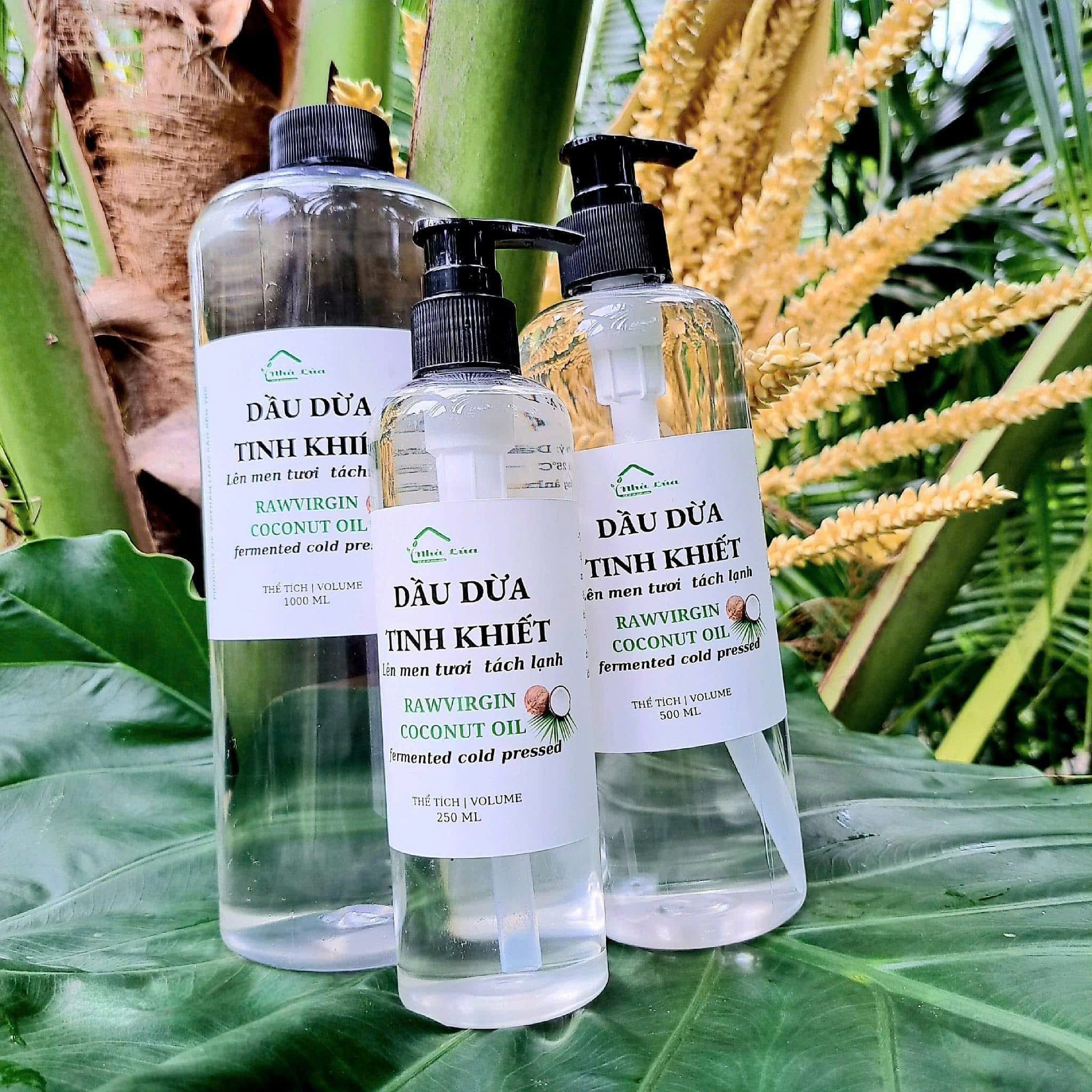 Dầu dừa lên men tách lạnh