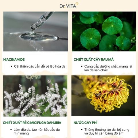  Xịt Khoáng Cấp Ẩm DR.VITA DAYCELL MIST 80 ML 