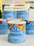 BÁNH ĂN DẶM GERBER LÙN 8M+