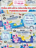 PUDDING BURINE 6M+ (6h*50gr)