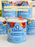 BÁNH ĂN DẶM GERBER LÙN 8M+