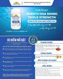 DHA 300MG NATURE'S WAY NK (HỘP 50V)