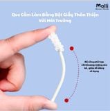 CÂY RƠ LƯỠI MOLLI (HỘP)