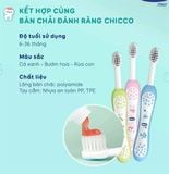 BÀN CHẢI CHICCO