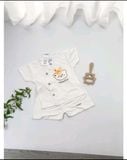 BỘ TNQN PETIT IN HÌNH KORA