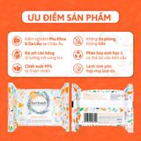 KHĂN ƯỚT VÙNG KÍN FEMFRESH INTIMATE SKIN CARE DAILY 25 TỜ