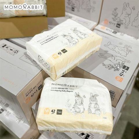 TÃ DÁN MOMORABIT