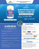 DHA OMEGA-3 FISH OIL NATURE'S WAY NK (HỘP 60V)