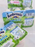 VÁNG AMBROSIA MINI CUSTARD LESS SUGAR GIẢM ĐƯỜNG 6*55G