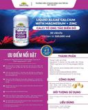 LIQUID ALGAE CALCIUM WITH MAGNESIUM ZINC NATURE'S WAY NK (HỘP 30V)