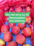 TÁO ENVY SIZE 35 NEWZEALAND (KG)