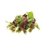RAU DỀN HỮU CƠ/GRAM