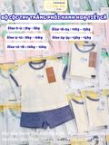 BỘ CT TRẮNG PHỐI XANH ĐẬM IN CÁ NOUS