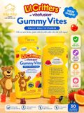KẸO DẺO VTM GUMMY VITES L'IL CRITTERS HỘP 300 VIÊN