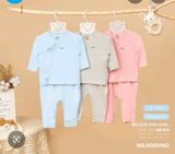 BỘ CLD09 AVALER