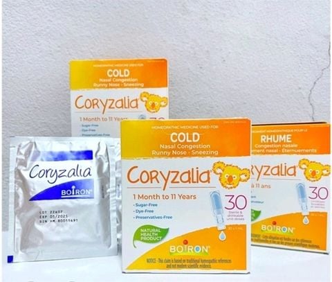 MUỐI UỐNG CORYZALIA CANADA TÁCH LẼ