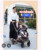 XE ĐẨY ĐA NĂNG CHILUX V 1.6