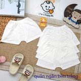 QUẦN NGẮN LẼ MINZY