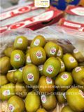 KIWI ĐỎ SIZE 36 RUBYRED NEWZEALAND