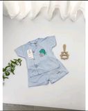 BỘ TNQN PETIT IN HÌNH KORA