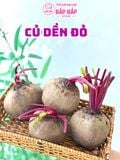 CỦ DỀN ĐỎ HC/ GRAM