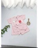 BỘ TNQN PETIT IN HÌNH KORA
