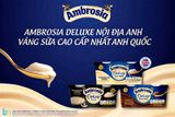 VÁNG AMBROSIA DELUXE CUSTARD